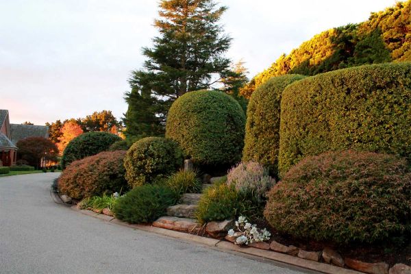 garden1-4F5A72333-0574-C7BE-E1E4-DD13D497DE9A.jpg