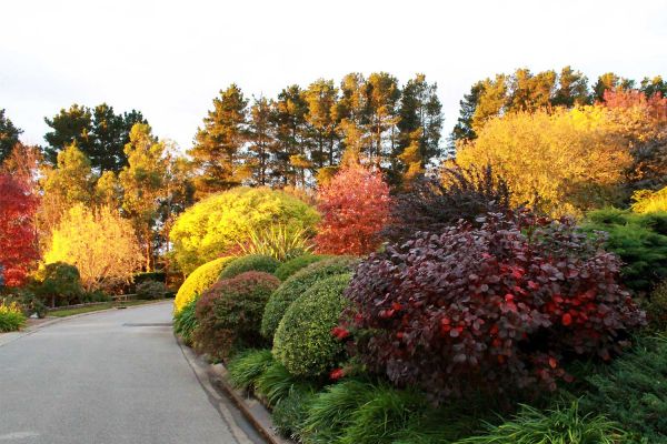 garden1-544895743-08B2-B06A-9E15-1256FCDE93DD.jpg