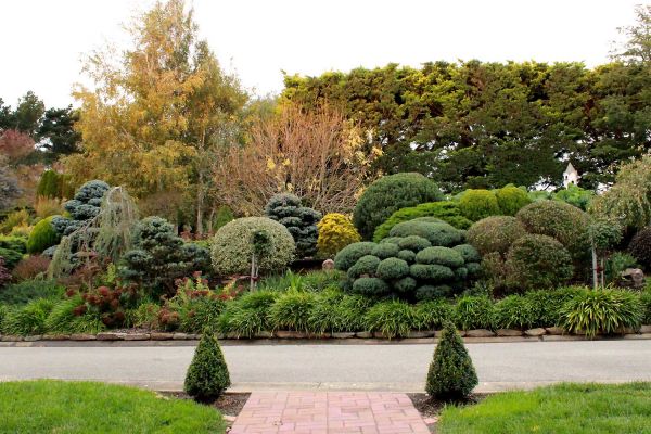 garden1-71C1FA46D-2B2B-2687-9C7A-279C57CE51FE.jpg