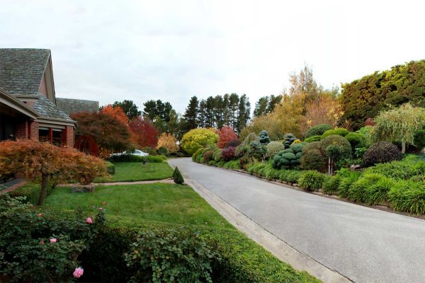 garden1-8CE0B774E-68D1-EE8E-F14E-D0114C7B8D72.jpg