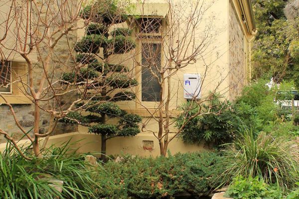 garden5-4B1BE8876-AC7A-D495-DF81-D3A6288CDEF5.jpg